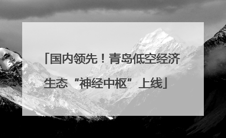 国内领先！青岛低空经济生态“神经中枢”上线