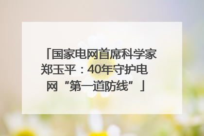 国家电网首席科学家郑玉平：40年守护电网“第一道防线”