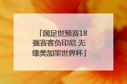 国足世预赛18强赛客负印尼 无缘美加墨世界杯
