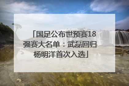 国足公布世预赛18强赛大名单：武磊回归 杨明洋首次入选