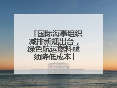 国际海事组织减排新规出台，绿色航运燃料亟须降低成本