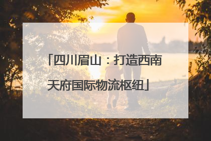 四川眉山：打造西南天府国际物流枢纽