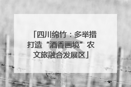 四川绵竹：多举措打造“酒香画境”农文旅融合发展区