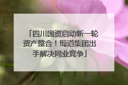 四川国资启动新一轮资产整合！蜀道集团出手解决同业竞争