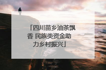 四川苗乡油茶飘香 民族类资金助力乡村振兴