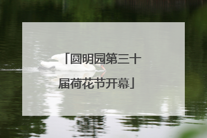 圆明园第三十届荷花节开幕