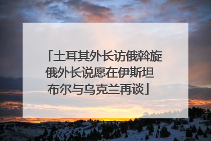 土耳其外长访俄斡旋 俄外长说愿在伊斯坦布尔与乌克兰再谈
