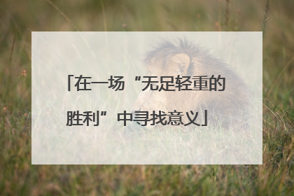 在一场“无足轻重的胜利”中寻找意义