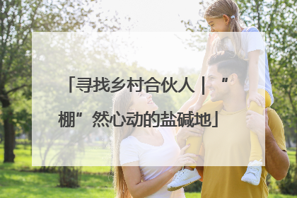 寻找乡村合伙人｜“棚”然心动的盐碱地
