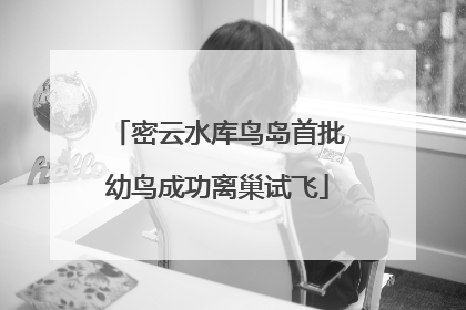 密云水库鸟岛首批幼鸟成功离巢试飞
