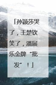 孙颖莎哭了，王楚钦笑了，潘展乐金牌“批发”！