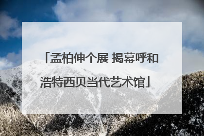 孟柏伸个展 揭幕呼和浩特西贝当代艺术馆