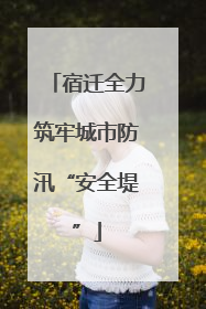 宿迁全力筑牢城市防汛“安全堤”