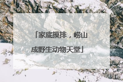 家底摸排，崂山成野生动物天堂