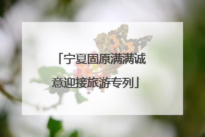 宁夏固原满满诚意迎接旅游专列