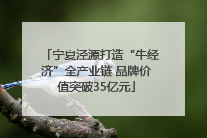 宁夏泾源打造“牛经济”全产业链 品牌价值突破35亿元