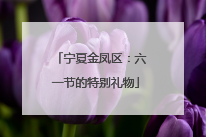 宁夏金凤区：六一节的特别礼物