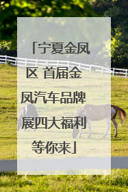 宁夏金凤区 首届金凤汽车品牌展四大福利等你来
