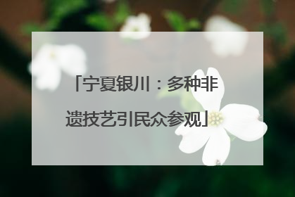 宁夏银川：多种非遗技艺引民众参观