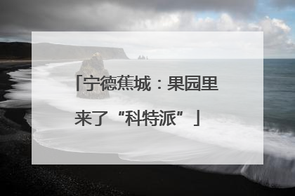 宁德蕉城：果园里来了“科特派”