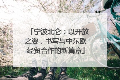 宁波北仑：以开放之姿，书写与中东欧经贸合作的新篇章
