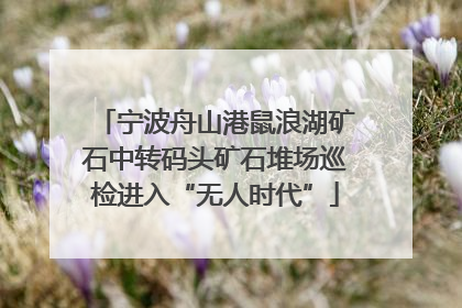 宁波舟山港鼠浪湖矿石中转码头矿石堆场巡检进入“无人时代”