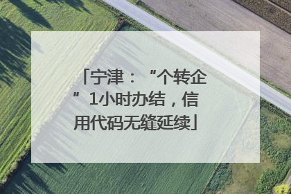 宁津：“个转企”1小时办结，信用代码无缝延续