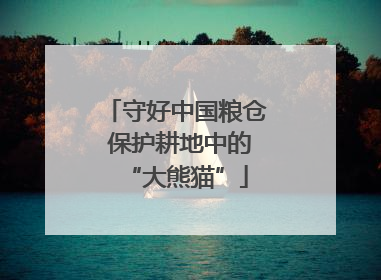 守好中国粮仓 保护耕地中的“大熊猫”