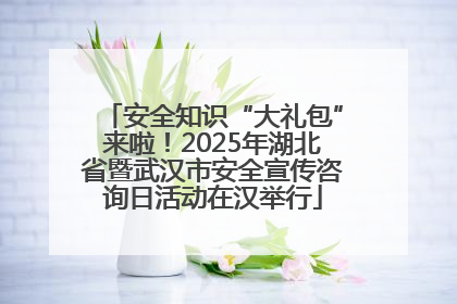 安全知识“大礼包”来啦！2025年湖北省暨武汉市安全宣传咨询日活动在汉举行
