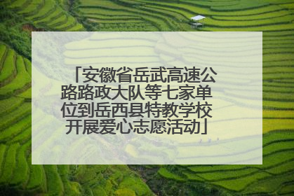 安徽省岳武高速公路路政大队等七家单位到岳西县特教学校开展爱心志愿活动