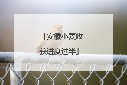 安徽小麦收获进度过半