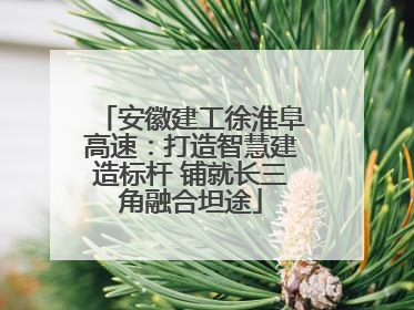 安徽建工徐淮阜高速：打造智慧建造标杆 铺就长三角融合坦途