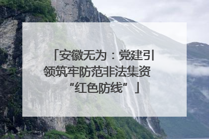 安徽无为：党建引领筑牢防范非法集资“红色防线”