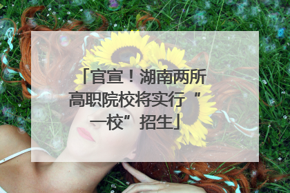 官宣！湖南两所高职院校将实行“一校”招生