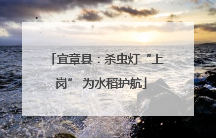 宜章县：杀虫灯“上岗” 为水稻护航