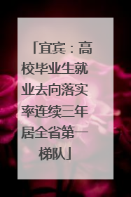 宜宾：高校毕业生就业去向落实率连续三年居全省第一梯队