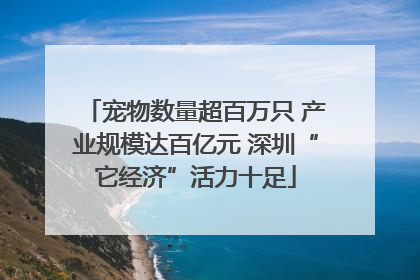 宠物数量超百万只 产业规模达百亿元 深圳“它经济”活力十足