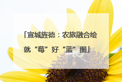宣城旌德：农旅融合绘就“莓”好“蓝”图