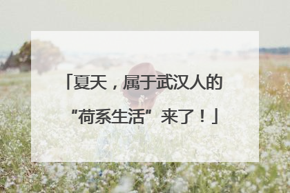 夏天，属于武汉人的“荷系生活”来了！