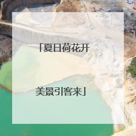 夏日荷花开 美景引客来