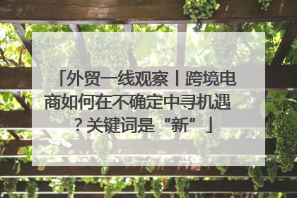 外贸一线观察丨跨境电商如何在不确定中寻机遇？关键词是“新”