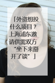 外资想投什么项目？上海浦东邀请供需双方“坐下来掰开了谈”