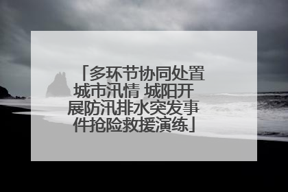 多环节协同处置城市汛情 城阳开展防汛排水突发事件抢险救援演练