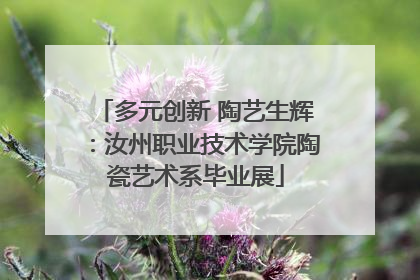 多元创新 陶艺生辉：汝州职业技术学院陶瓷艺术系毕业展