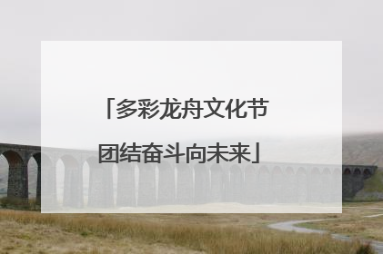 多彩龙舟文化节 团结奋斗向未来