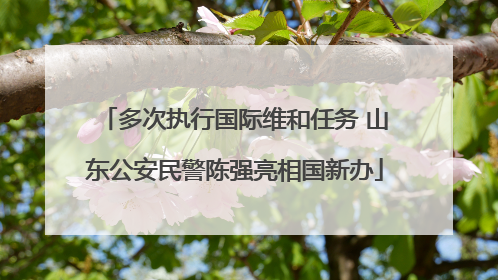 多次执行国际维和任务 山东公安民警陈强亮相国新办