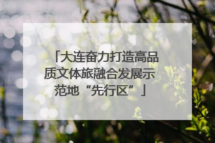 大连奋力打造高品质文体旅融合发展示范地“先行区”