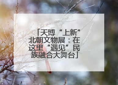 天博“上新”北朝文物展：在这里“遇见”民族融合大舞台