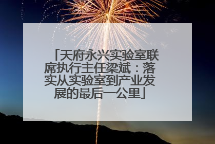 天府永兴实验室联席执行主任梁斌：落实从实验室到产业发展的最后一公里