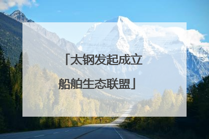 太钢发起成立船舶生态联盟